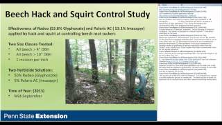 Forestry Herbicides to Control Woody Vegetation