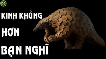 Bí mật của Tê tê - một sự tiến hóa kỳ dị | Đơn giản