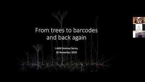 I-AIM seminar 4 (Kathryn Hess): From trees to barcode and back again