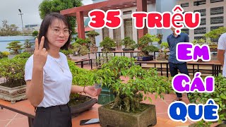 Em gái thích tp 2 người khênh gọi điện hỏi chủ nhân báo giá 35 triệu tại triển lãm CLB Bon sai  VX