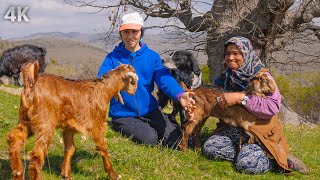 The Last Remaining Family on the Abandoned Plateau  Stone Barns and a Hard Day | Documentary4K