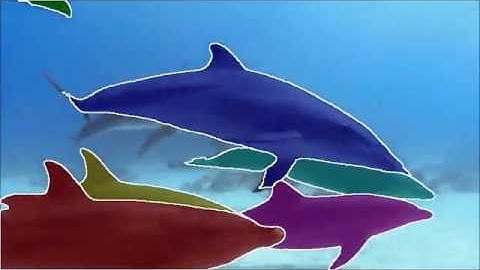 Multi-Referenced Guided Instance Segmentation - DAVIS Challenge 2020