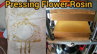 Pressing Flower Rosin - The Friendly Grower
