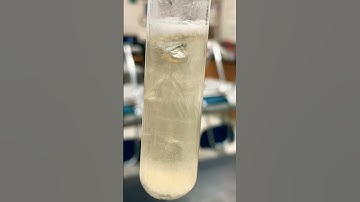 Crystallization of benzoic and lauric acids #scienceshort #short #freezingpoint
