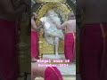 #love #saibabamangalsnaan #vlog #song #shirdisaibaba #omsairam #saibabaofshirdi #saibabaliveshirdi