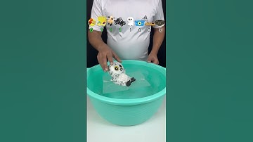 TRY TO GUESS HOW MANY TISSUE PAPER IT TOOKS! #satisfying #asmr #experiment #foryou #water