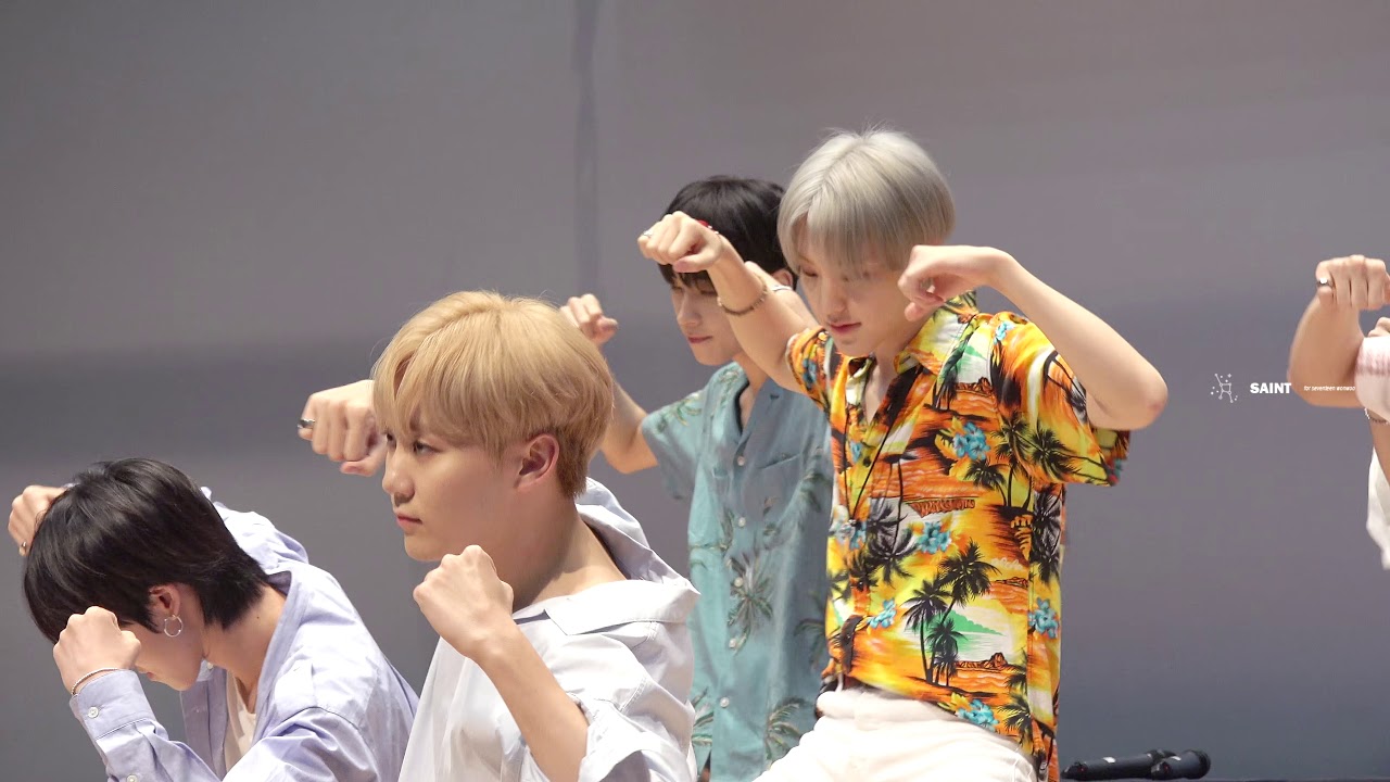 180721 세븐틴 팬싸 [우리의 새벽은 낮보다 뜨겁다] 원우 FOCUS