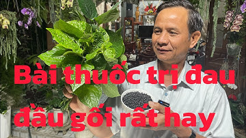 Cách trị đau khớp gối tại nhà cực kì hiệu quả