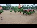 Prakritik sanskriti par adivasi dance