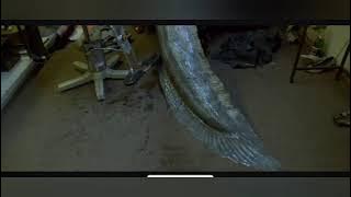 Mermaid Transformation #1