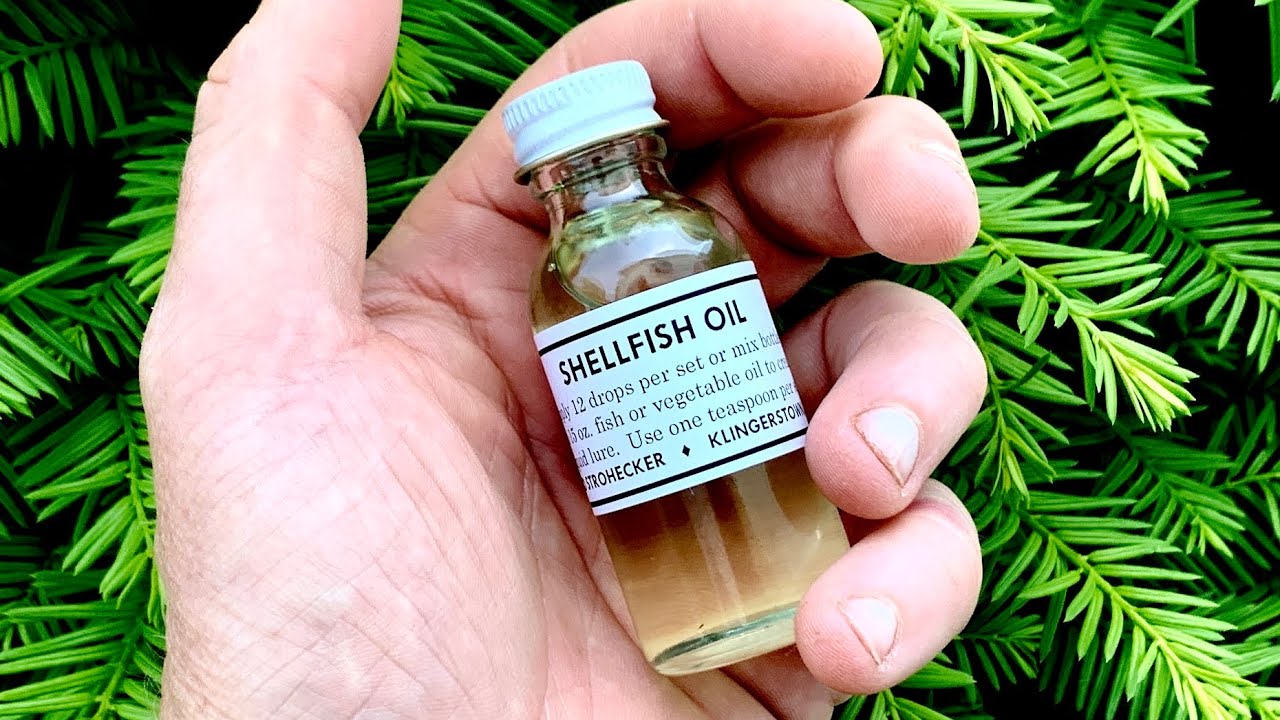 Shellfish Oil for Raccoon Trapping - YouTube