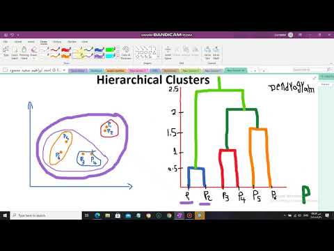 Video: Penemuan MiRNAs Berkaitan Dengan Penyakit Usus Radang Menggunakan Pendekatan Clustering Bipartit Novel