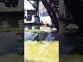 Rust Console Radtown First Look 👀 #shorts #rust #rustconsole
