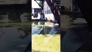 Rust Console Radtown First Look 👀 #shorts #rust #rustconsole