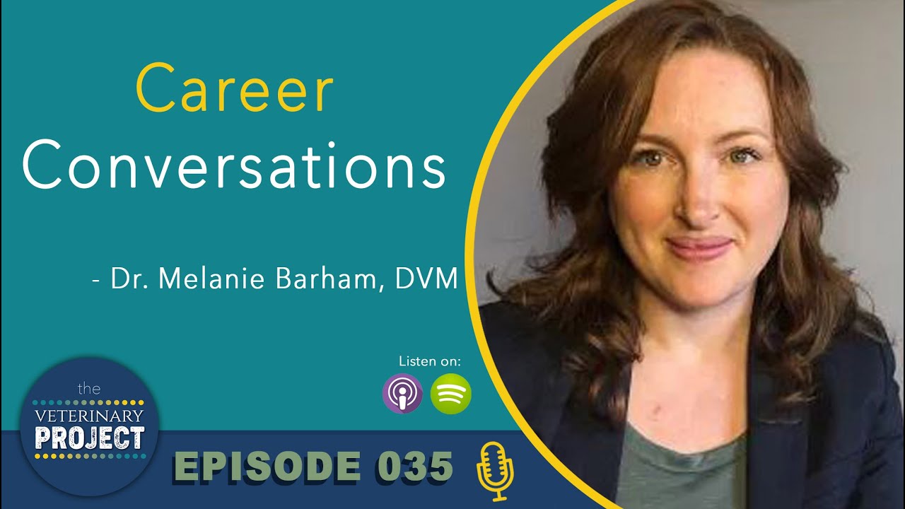 Dvm Project The DVM Project Meets The Veterinary Project - Career Conversations ...