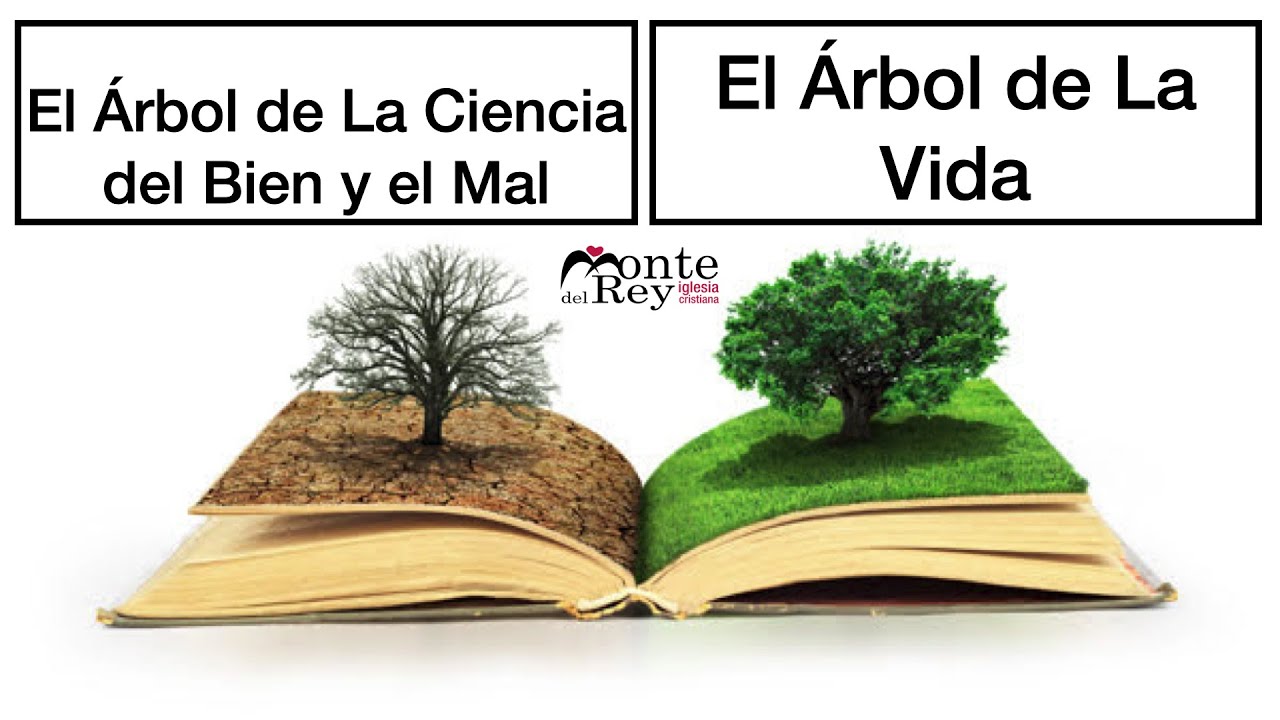 Reunión Familiar (Octubre 29) - El Árbol del bien y del ma y el Árbol