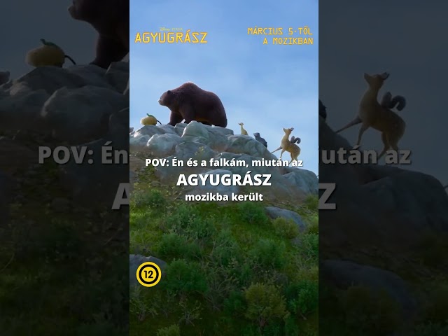Videó borítókép