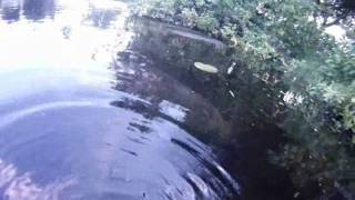 Stand Up Paddle - Chris Stephan For Suplove