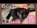 【1ヶ月間の成長記録】黒猫の赤ちゃんを男2人で保護と看病をして家族に迎え入れた物語。