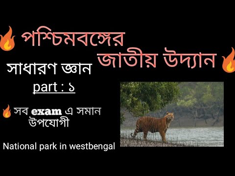 ভিডিও: ওয়েস্ট কোস্ট জাতীয় উদ্যান: সম্পূর্ণ গাইড