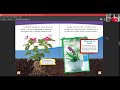 Cuestionario sobre Plantas