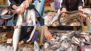 الجزء الثاني من سوق السمك بدمياط وكمان نتعرف انواع السمك🍤🦈🤔❤️‍🔥