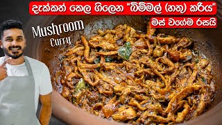 මේ විදිහට "හතු(බිම්මල්)" හැදුවොත්, වෙන මුකුත් ඕනි නෑ | Mushroom Curry | Hathu Curry