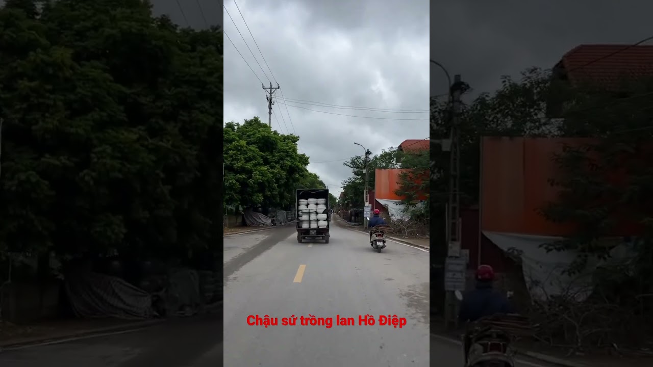 Chậu sứ trồng lan hồ điệp Kim Lan Hà Nội - youtube