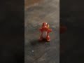 chơi rồng pokemon