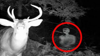 5 Creepy & Unexplained Trail Cam Photos