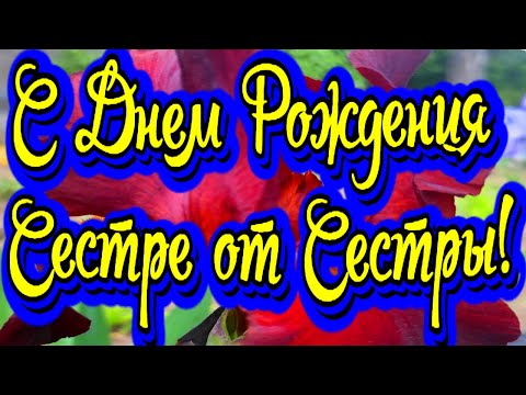 Поздравления с Днем Рождения Сестре от Сестры! Новинка! Прекрасное Видео Поздравление!