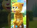 Talking Ginger