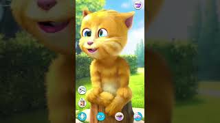 Talking Ginger