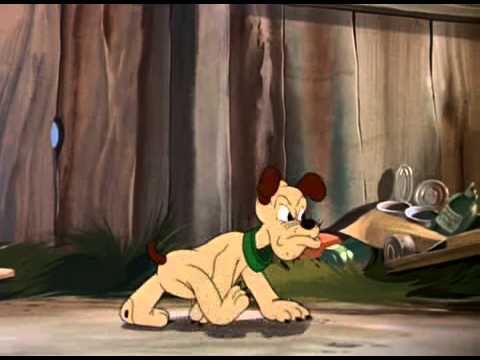 Disneys Pluto Pluto S Kid Brother 1946 