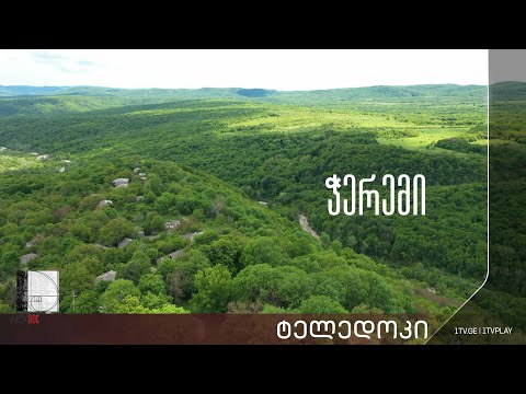 „ჭერემი“ -  ბესიკ გაფრინდაშვილის #ტელედოკი