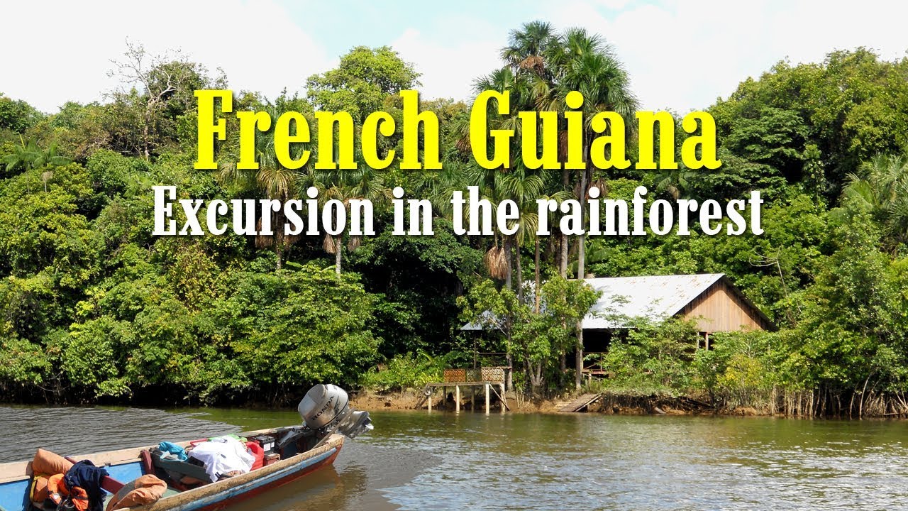 french guiana jungle tour
