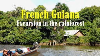 French Guiana. Excursion in the rainforest.
