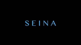 SEINA DRAMATICA @playroom