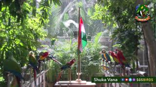 Parrots of Shuka Vana celebrate Republic Day