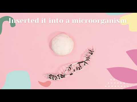 Where Tradition Meets Tomorrow – A New Milk Is Born; Remilk and Gad Dairies Launch “The New Milk”...