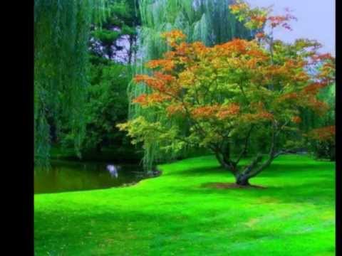 Paul Mauriat - Forever and Ever