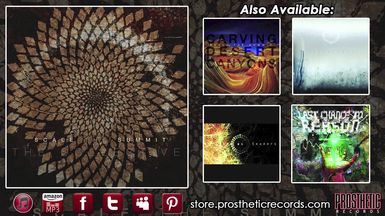 Scale The Summit The Collective (Track Two - Whales) acordes