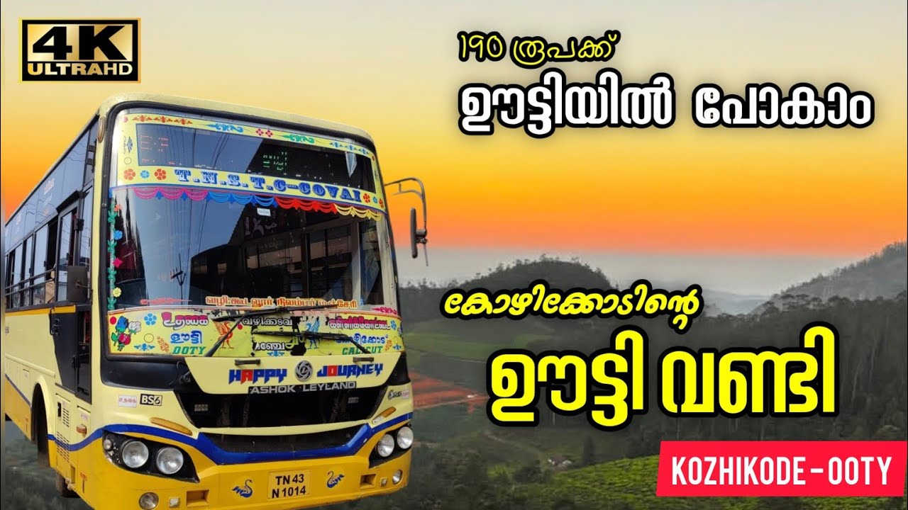 തണുത്ത് വിറച്ചൊരു ഊട്ടി യാത്ര | Kozhikode To Ooty Bus Trip | Kozhikode To Ooty TNSTC Bus | Ooty Trip