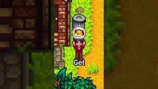 Everything In Stardew Valley's Garbage Cans