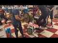 【Vlog】なまら強くなりたい仲間に会ってきた【ベンチプレス】