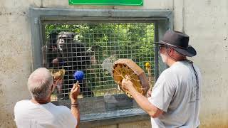 Celebrate Music on the Porch Day with Project Chimps and Nature Spirit Drums!