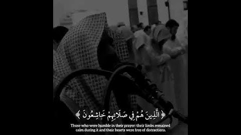 سورة المؤمنون محمد اللحيدان #قرآن