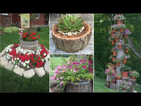 Video: Bloemen planten in boomstammen - Tips voor het maken van een doe-het-zelf plantenbak met boomstammen