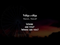 Abeer Nehme - Waynak (Lebanese Arabic) Lyrics   Translation - عبير نعمة - وينك