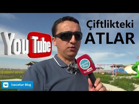 💚Çiftlikteki Atlar 💚Tuğram At Çiftliği Gölbaşı 🔔Tüm Detaylar Burada